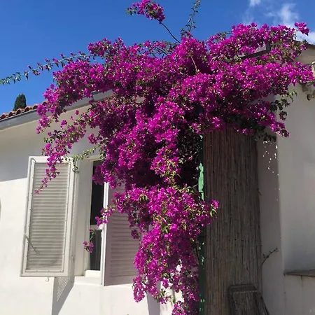 Apartmán Sterlizia Lacona