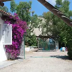 Apartman Sterlizia