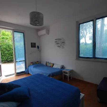 Apartman Sterlizia