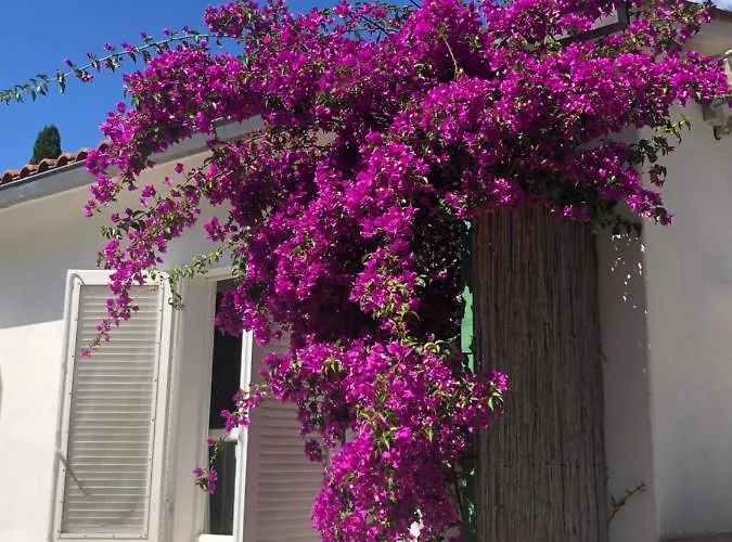 Appartement Sterlizia Lacona